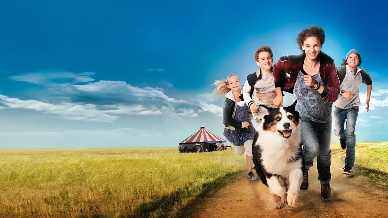 Фильм Пятеро друзей 2 (2013)
